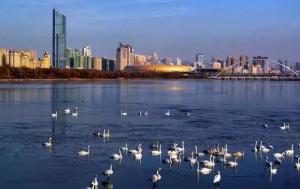 三門峽又一網(wǎng)紅景點(diǎn)，確定不來(lái)pick一下？